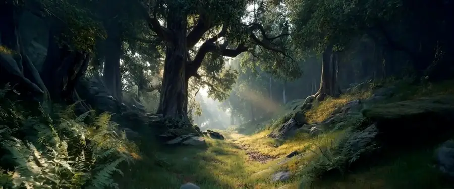 Lichtung mit Weg im Wald